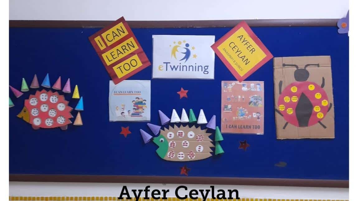 Ayfer Ceylan Naşide Halil Gelendost İlkokulu Anasınıfı B Şubesi eTwinning I Can Learn Too proje ile ilgili pano çalışması yapıldı.